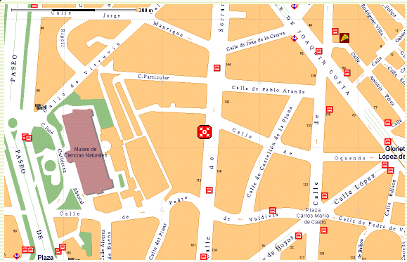 CSIC & Conference location</a> (entrance in Serrano St.)